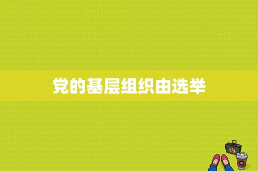 党的基层组织由选举-图1